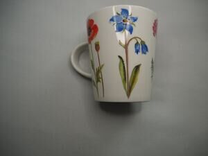 Rose of England Fine Bone China Wildflower Floral Mug Made in England 3.5in Cup